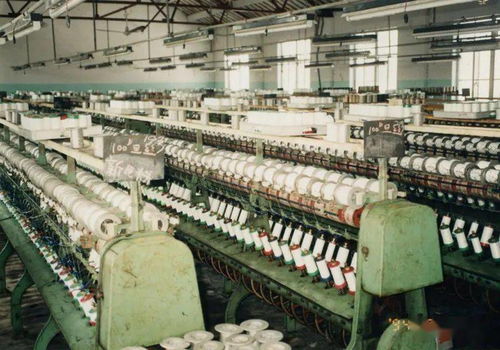 吳江民營經(jīng)濟領(lǐng)跑江蘇 財務(wù)咨詢的關(guān)鍵角色