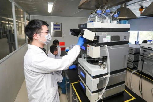 深圳要聞聚焦 技術交流助力城市創新發展